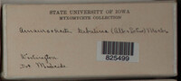 Image Associated With the Occurence